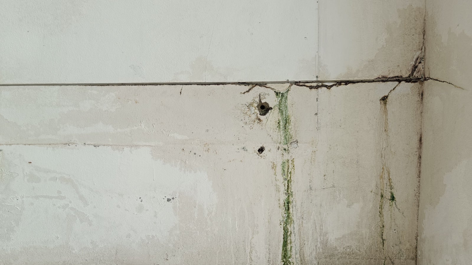 vecteezy image of the cracks mold on the wall 6667432 13