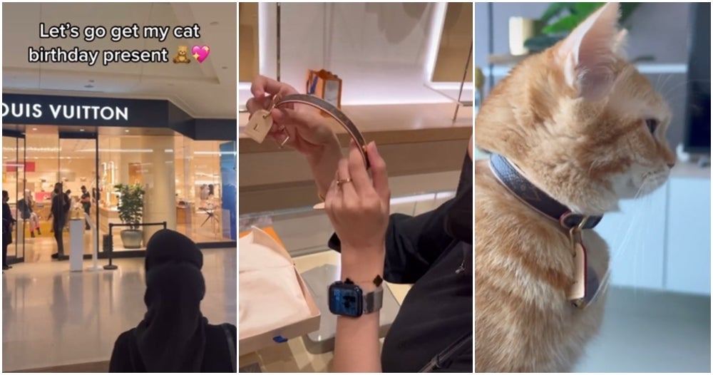 M'sian Buys Louis Vuitton Collar For Cat's 3rd Birthday, Netizens Submit  Application To Be Her Cat - WORLD OF BUZZ