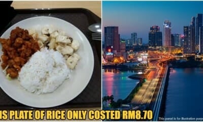 Singapore Mixed Rice Cheaper 1