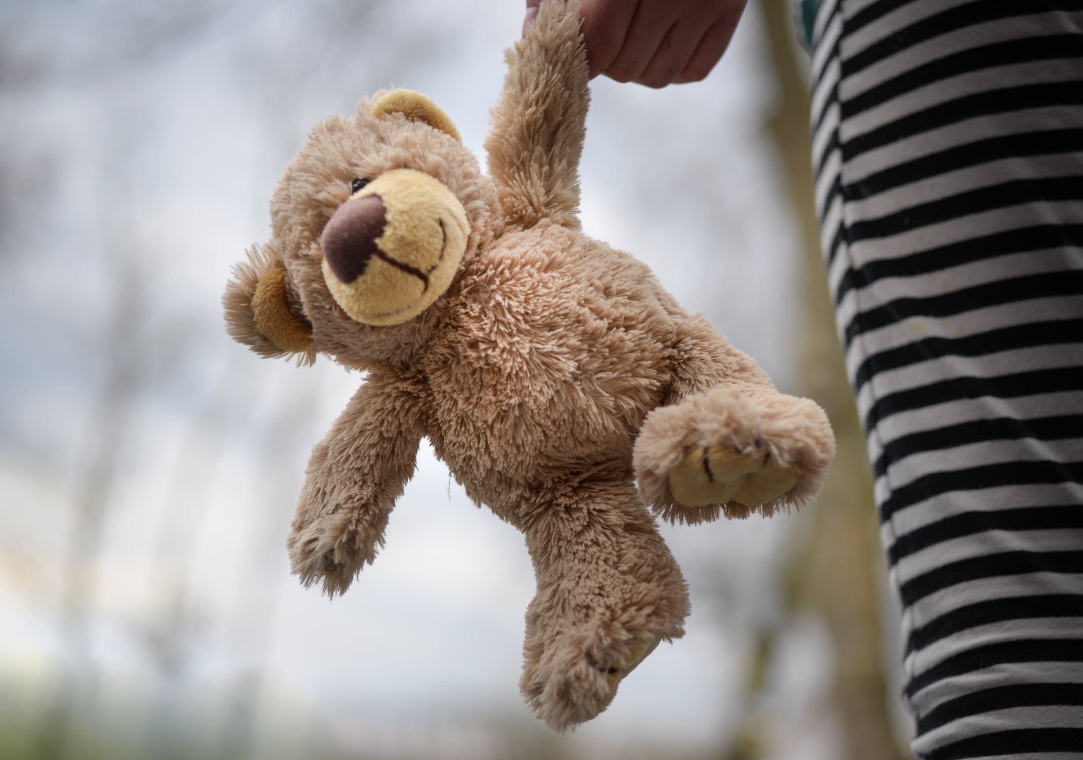 stuffed bear teddy child girl 1019471