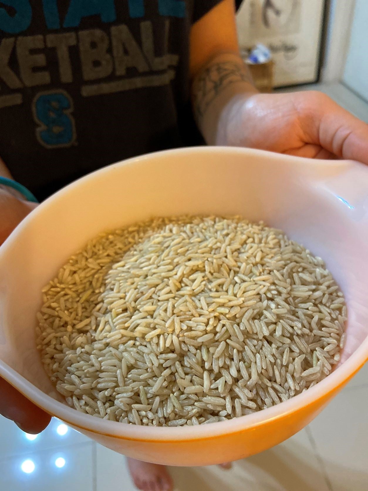 Homesoy Whole grain brown rice