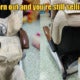 Massage Chair Ft