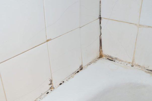 how to remove mold from shower caulking 1024x678 1