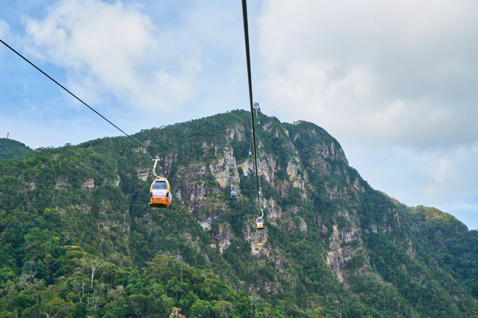 mountain with trees cable car