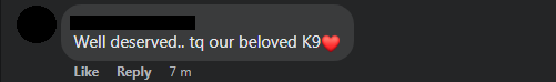 k9 6