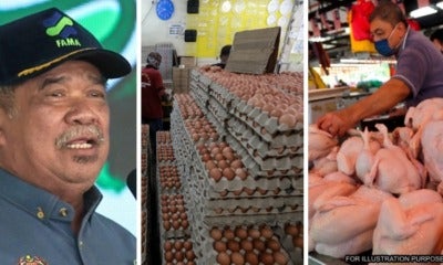 Feat Image Mat Sabu Chicken Eggs