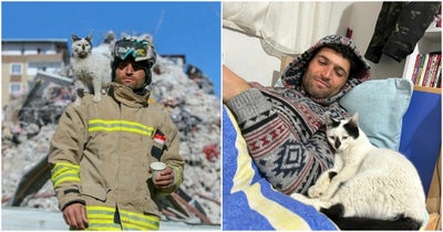 Turkish-Firefighter-Cat-Rescue