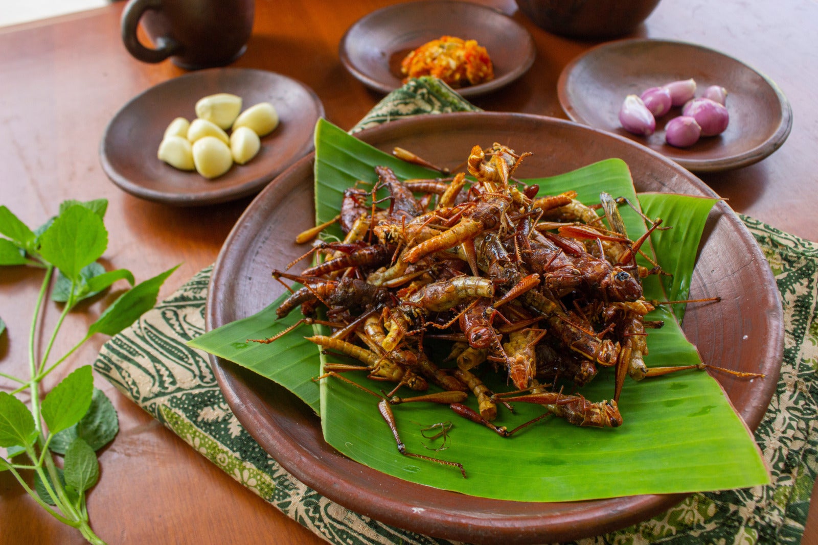 eat insect fried grasshoppers