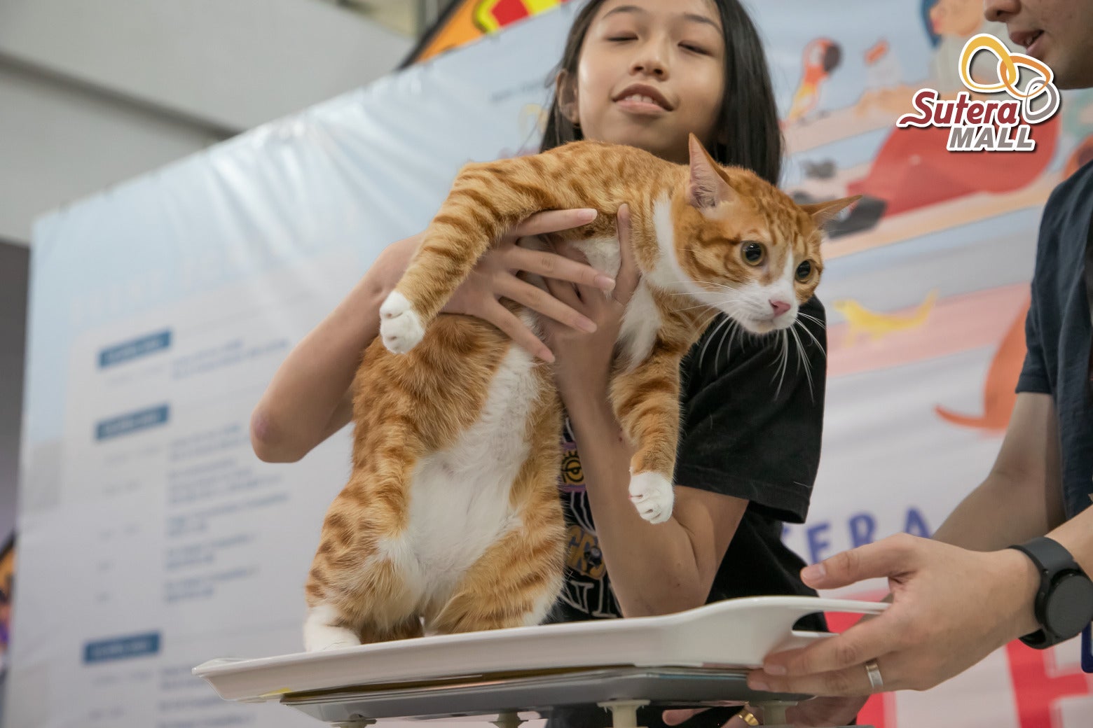 This Johor Bahru Mall Held a Fat Cat Competition & The Results are ...