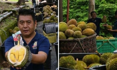 Feat Image Durian Hot Weather