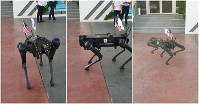 Robot-Dog