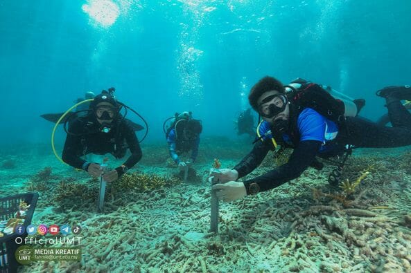Daryl Foong team planting by hand coral