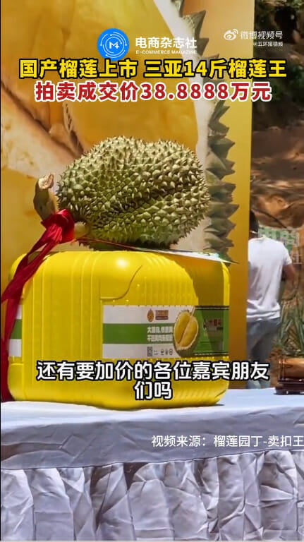 expensive china durian 2