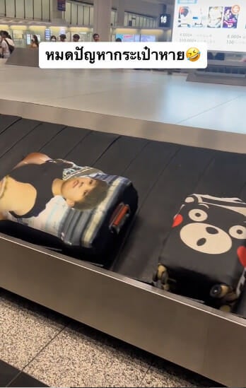 face luggage cover