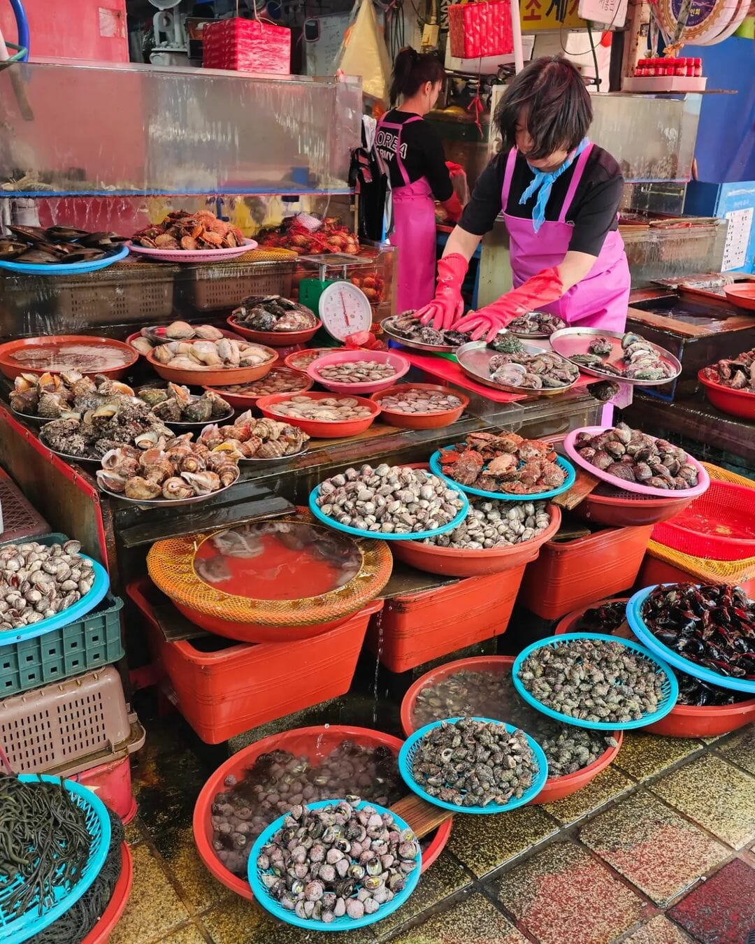 AABusan Jagalchi Market seafood 2