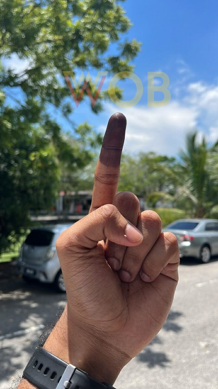 vote finger