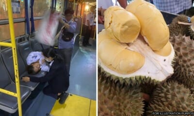 Feat Image Thailand Durian Bus