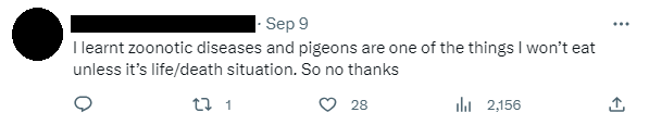 pigeon 6
