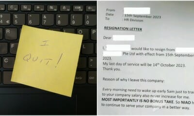 Resignation Letter In Singlish