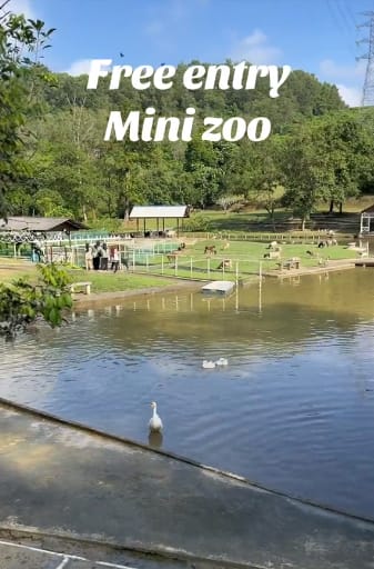 Mini zoo