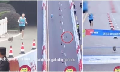 Cat Win Marathon China