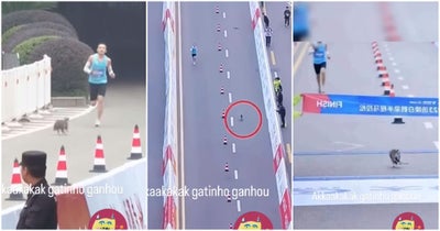 Cat-Win-Marathon-China