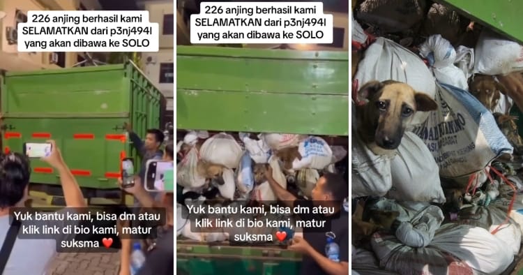 Feat Image Indonesia Police Rescue Dog