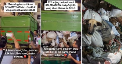 Feat-Image-Indonesia-Police-Rescue-Dog