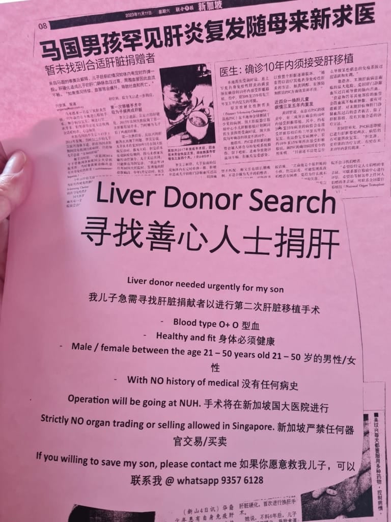 liver 2