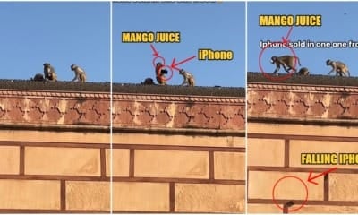 Mango Juice Iphone Exchange 1