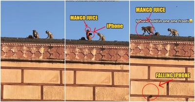 Mango-Juice-Iphone-Exchange-1