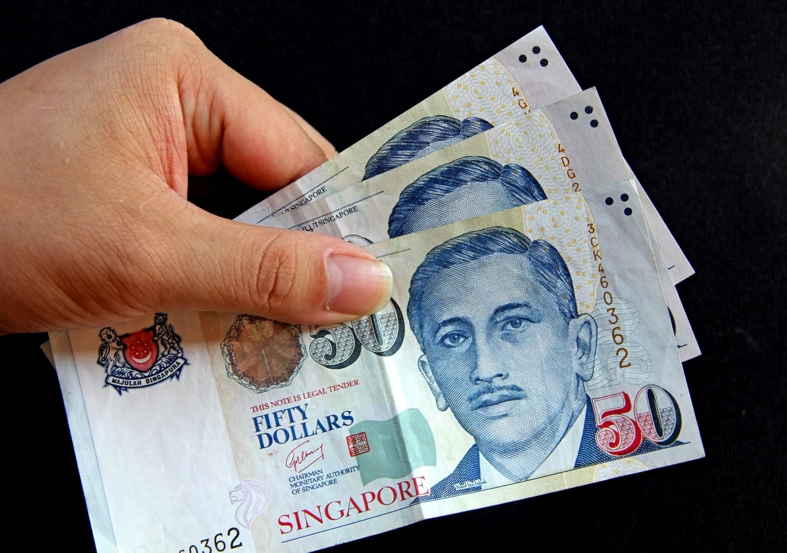 35313461 l normal none