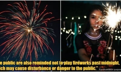 Fireworks Cannot After Midnight 1
