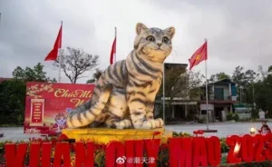 this year is the year of cat in vietnam unlike other v0 alk3pofastda1