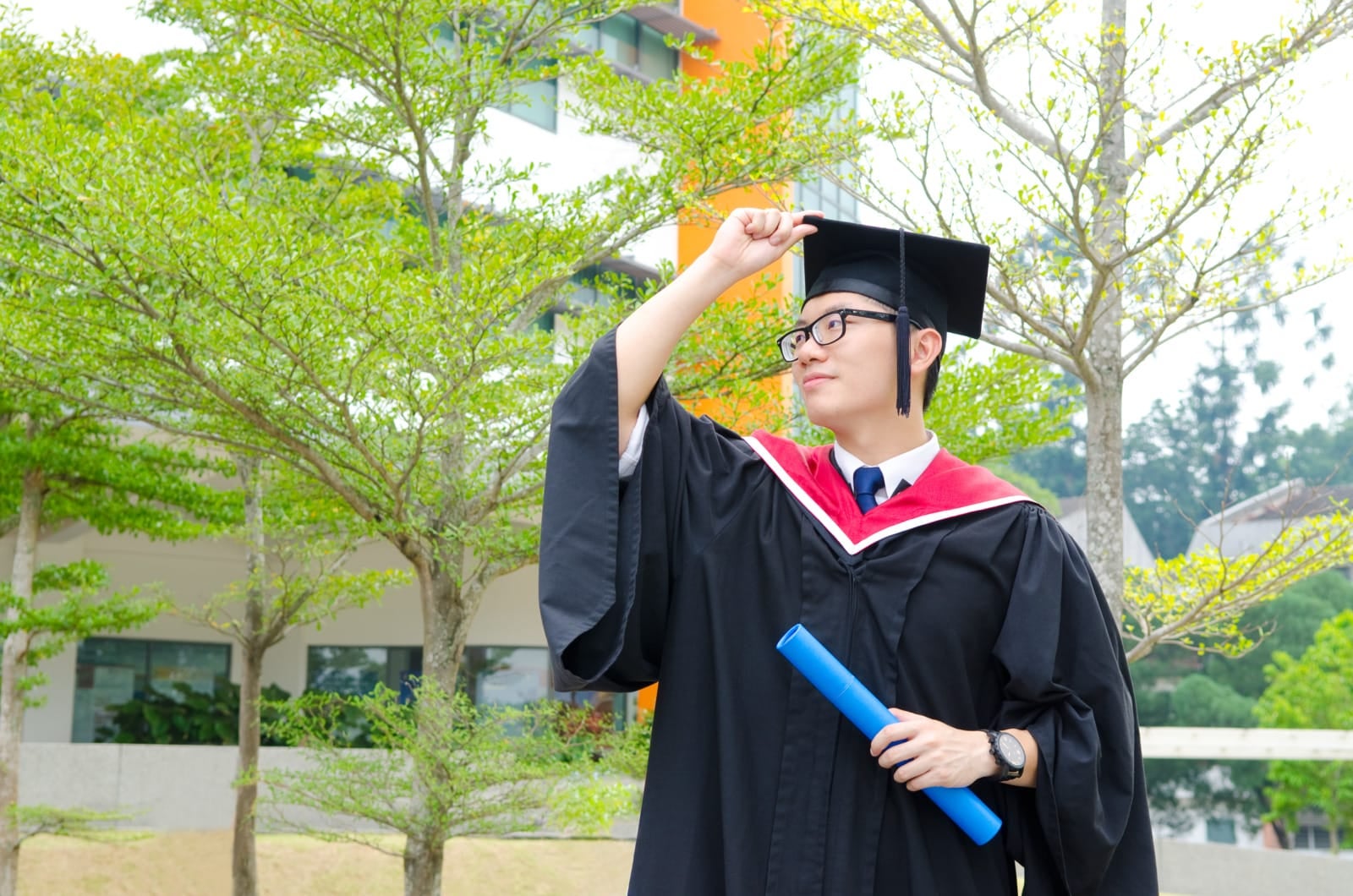 43221581 l normal none