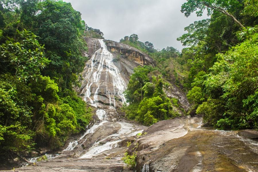 Twibirdsbreakingfree Stong Waterfall Kelantan