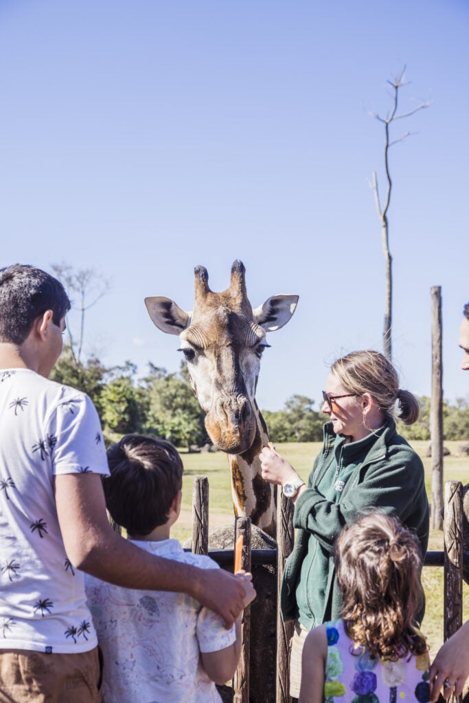 153119 Australia Zoo Credit Tourism Events Queensland 1