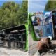 Bus Overturn On Genting