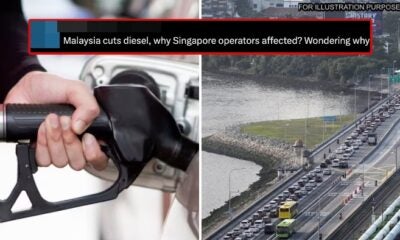 Feat Image Singapore Subsidy