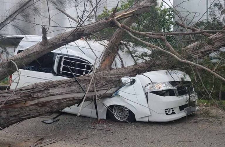 Police Officer Passes Away After Huge Tree Falls on His Vehicle While ...