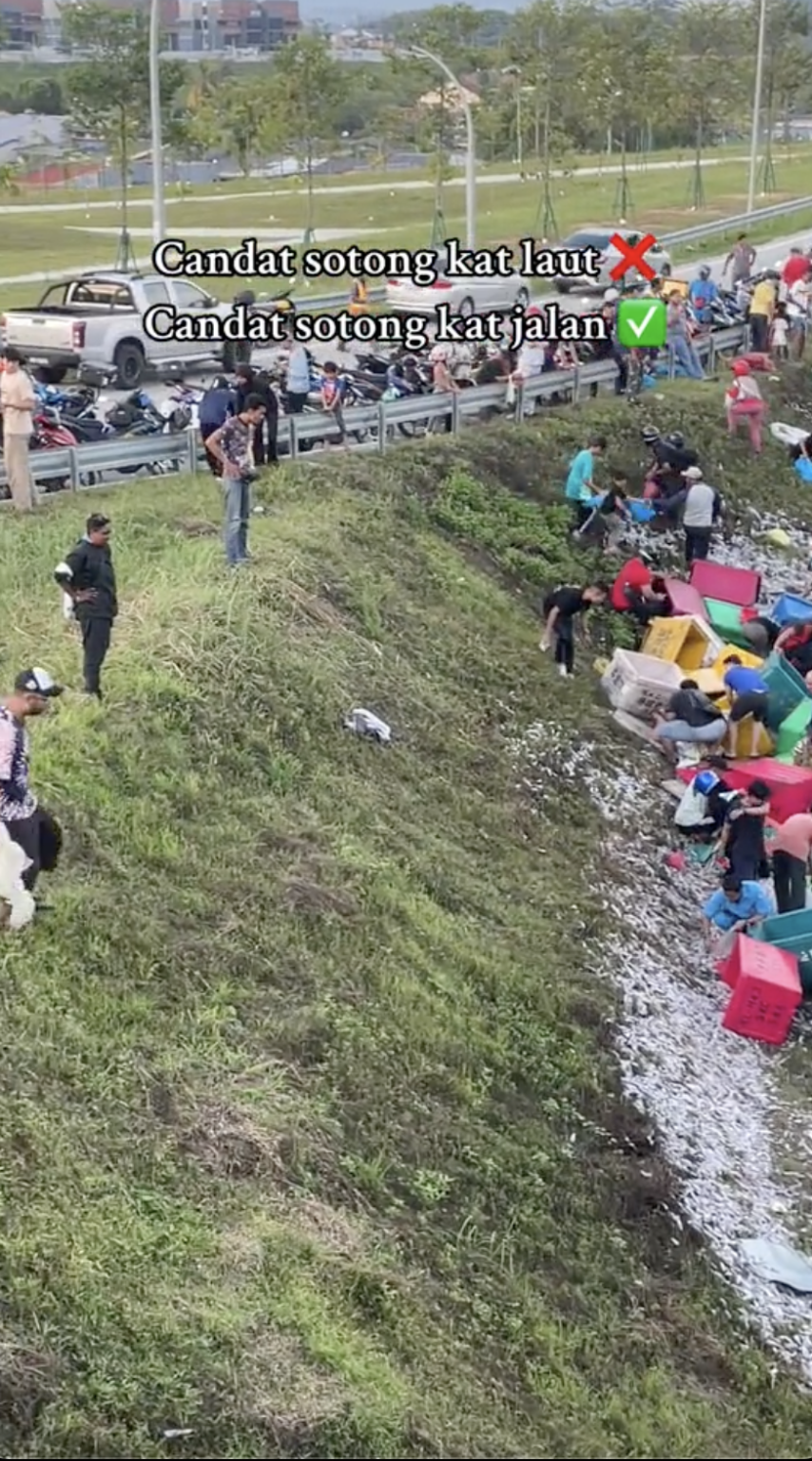 M'sians Rush to Get 'Free' Cuttlefish After Lorry Carrying Seafood ...