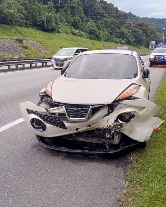 Malayan Tiger Highway 2