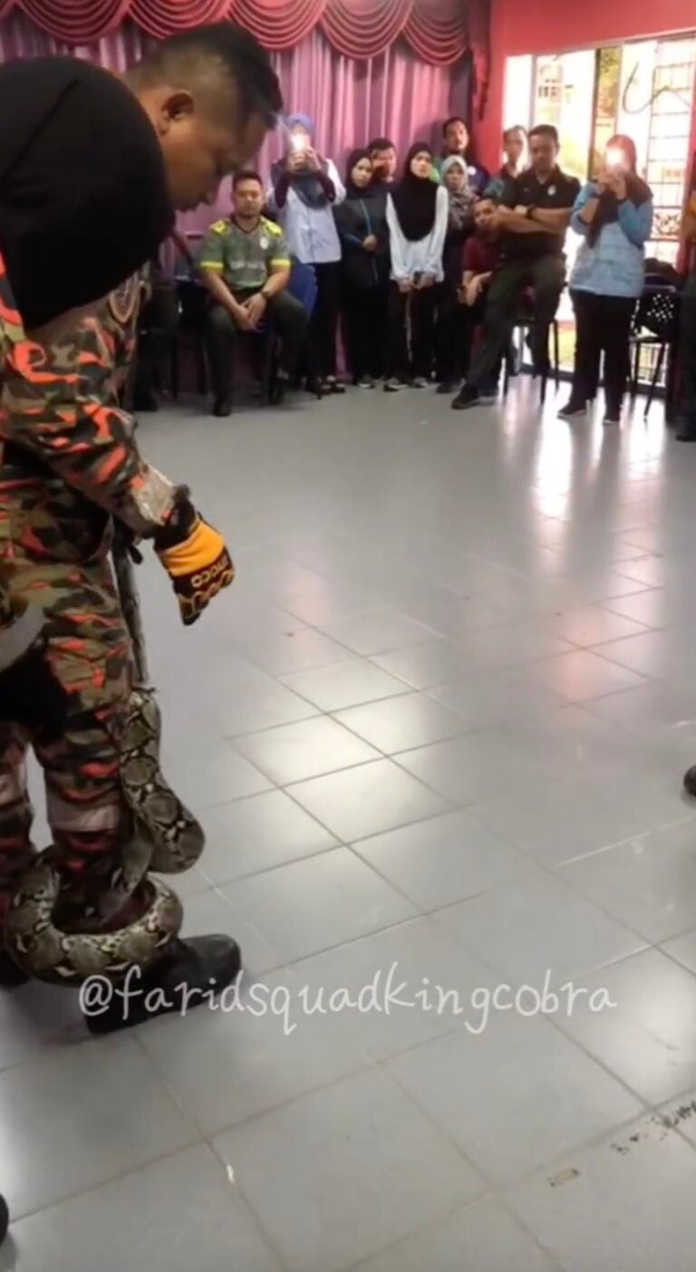 "Its grip gets stronger if you move" - Abang Bomba Shows How to Survive ...