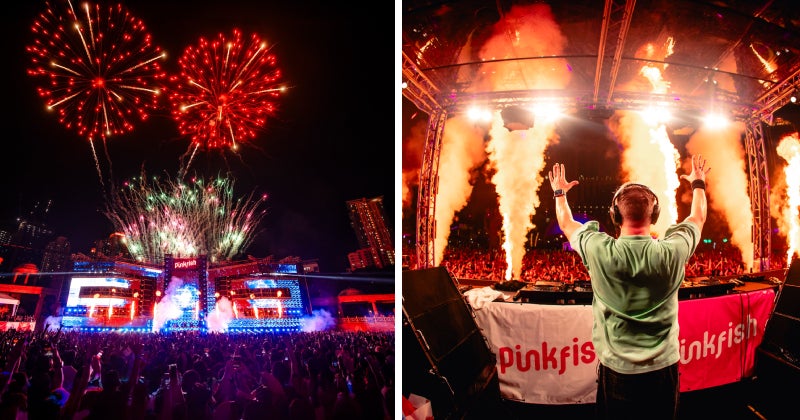 Pinkfishcountdown2024 Header