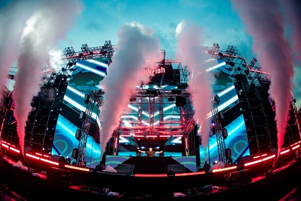 Pinkfishcountdown2024 Panorama