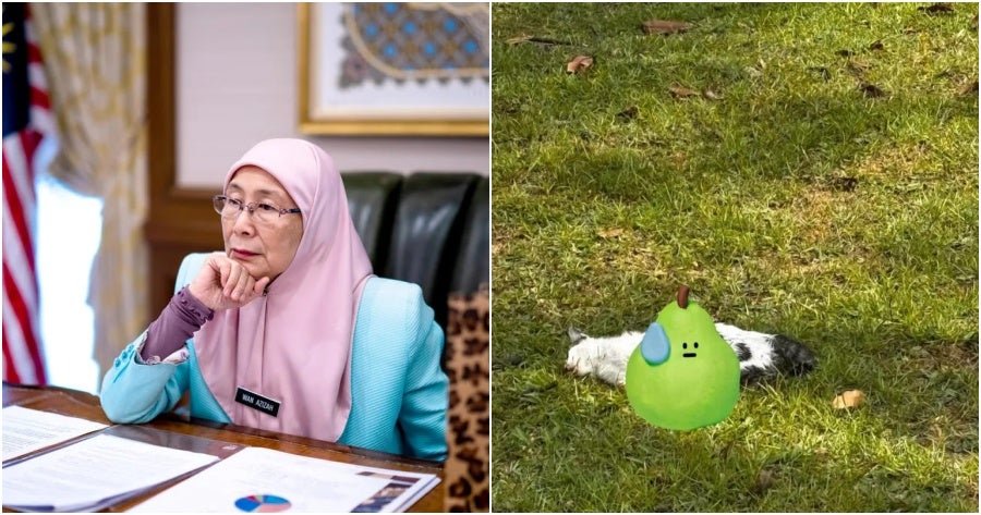 Wan Azizah: Immediate Action Needed to Identify Cause of Gruesome Cat Deaths at UM