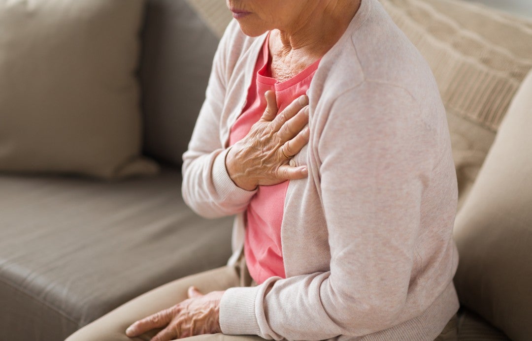 Didis Canva Do Not Touch 19