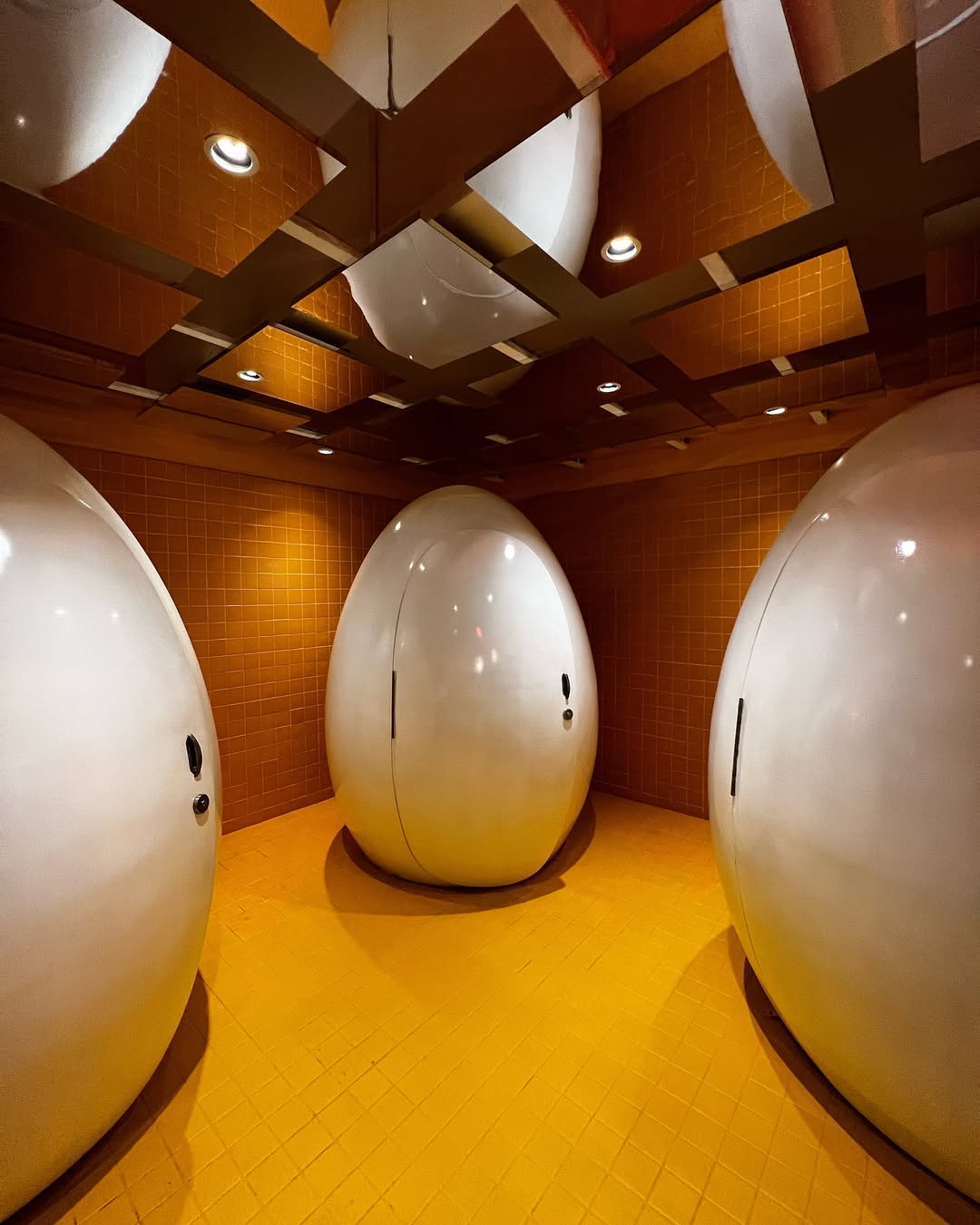 Snapinsta.app 470922002 602631168895692 1225306568632242712 N 1080