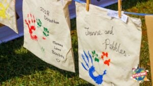 29351978 1550483288394614 5457341306747662405 o