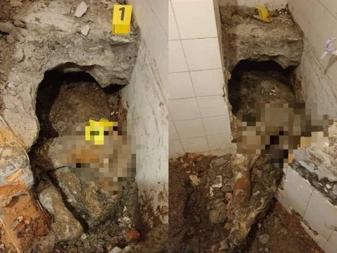 480644123 929443539356346 3428576334620625737 n